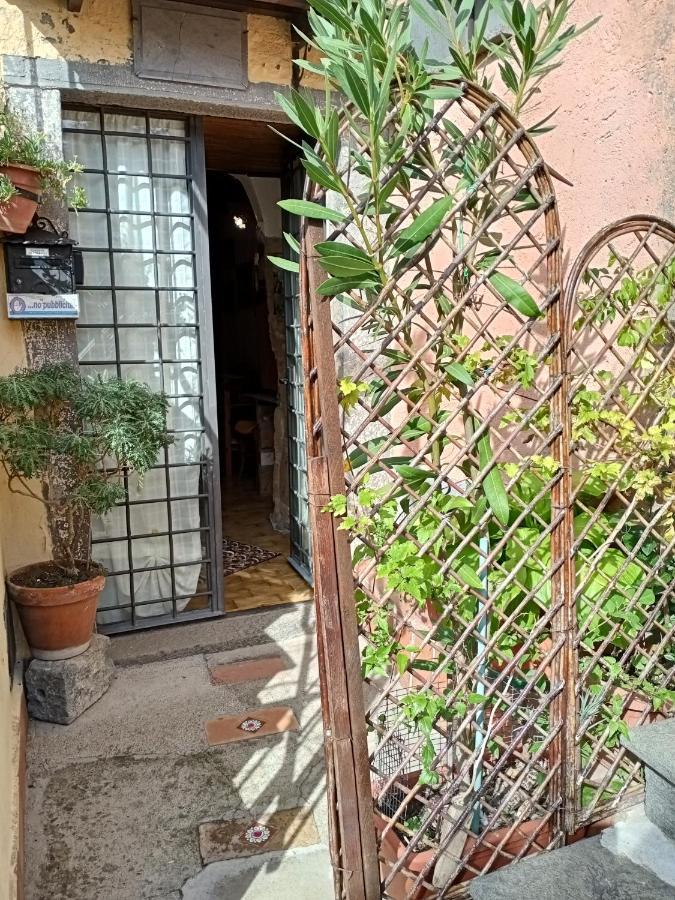 B&B Bellavista Bagnoregio Dış mekan fotoğraf