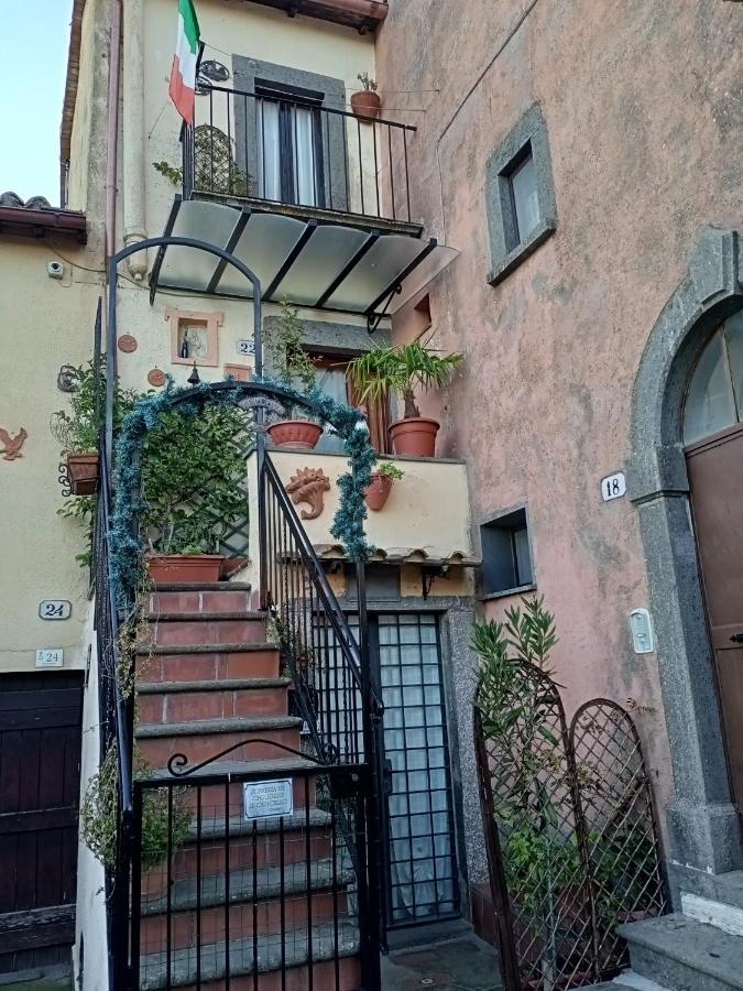 B&B Bellavista Bagnoregio Dış mekan fotoğraf