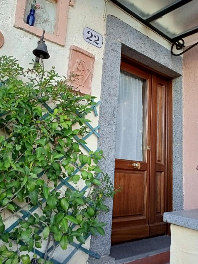 B&B Bellavista Bagnoregio Dış mekan fotoğraf