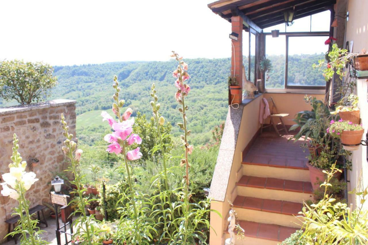 B&B Bellavista Bagnoregio Dış mekan fotoğraf